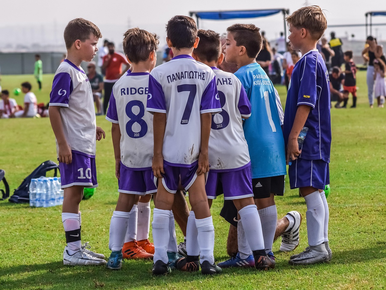 花生ip实名账号：商标注册 代理律师代理