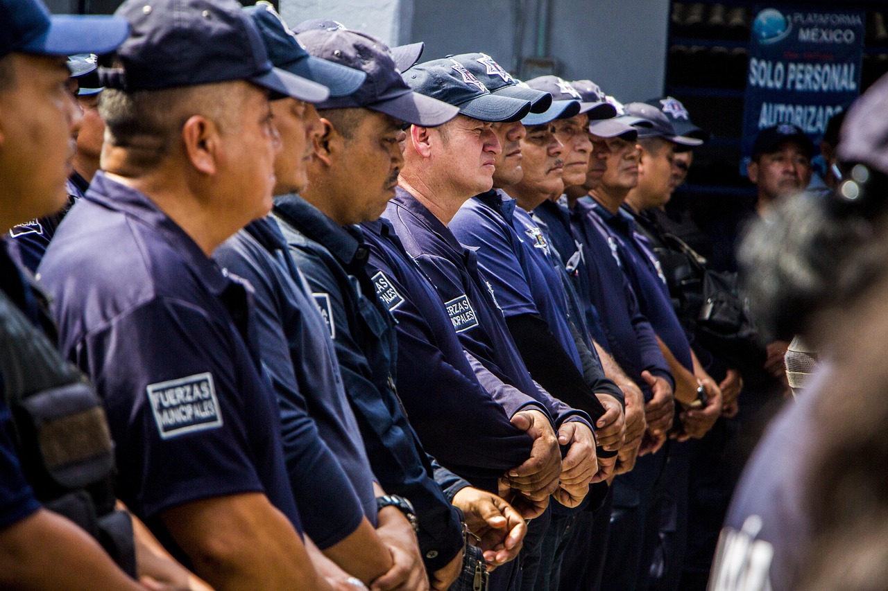 不败传说：丹东蔬菜购买平台