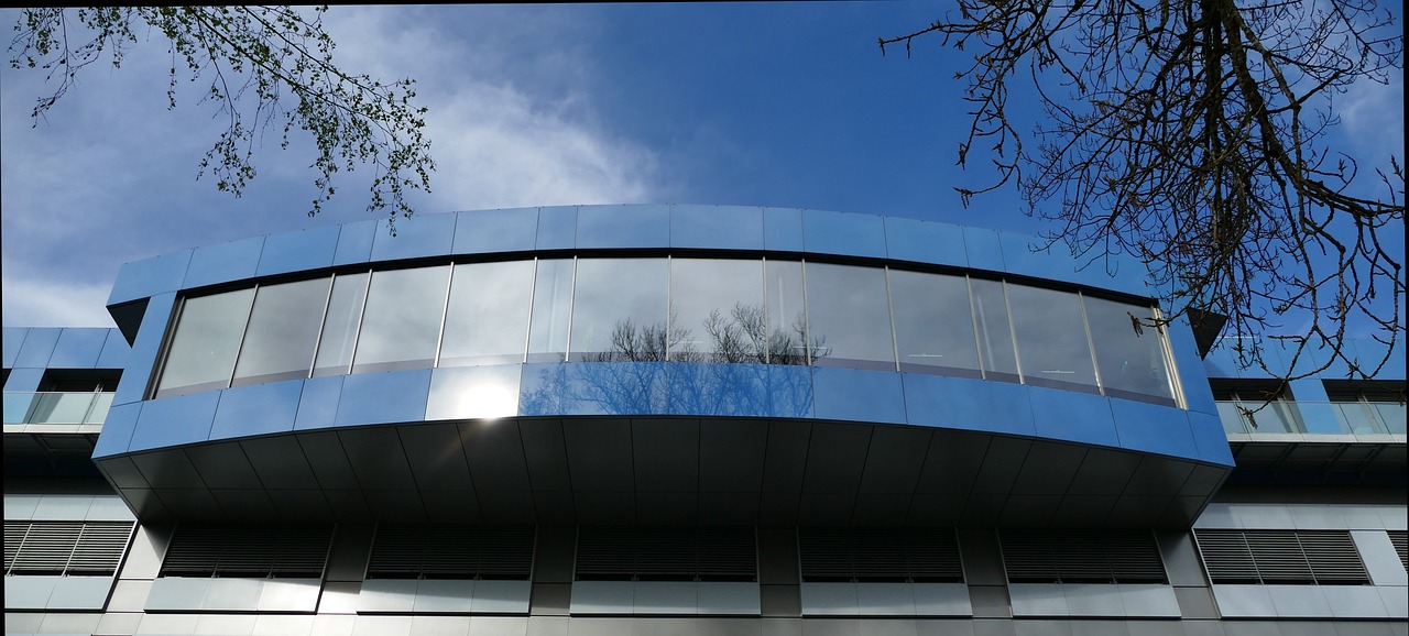 cc网页端|陌陌注册的账号在哪里看