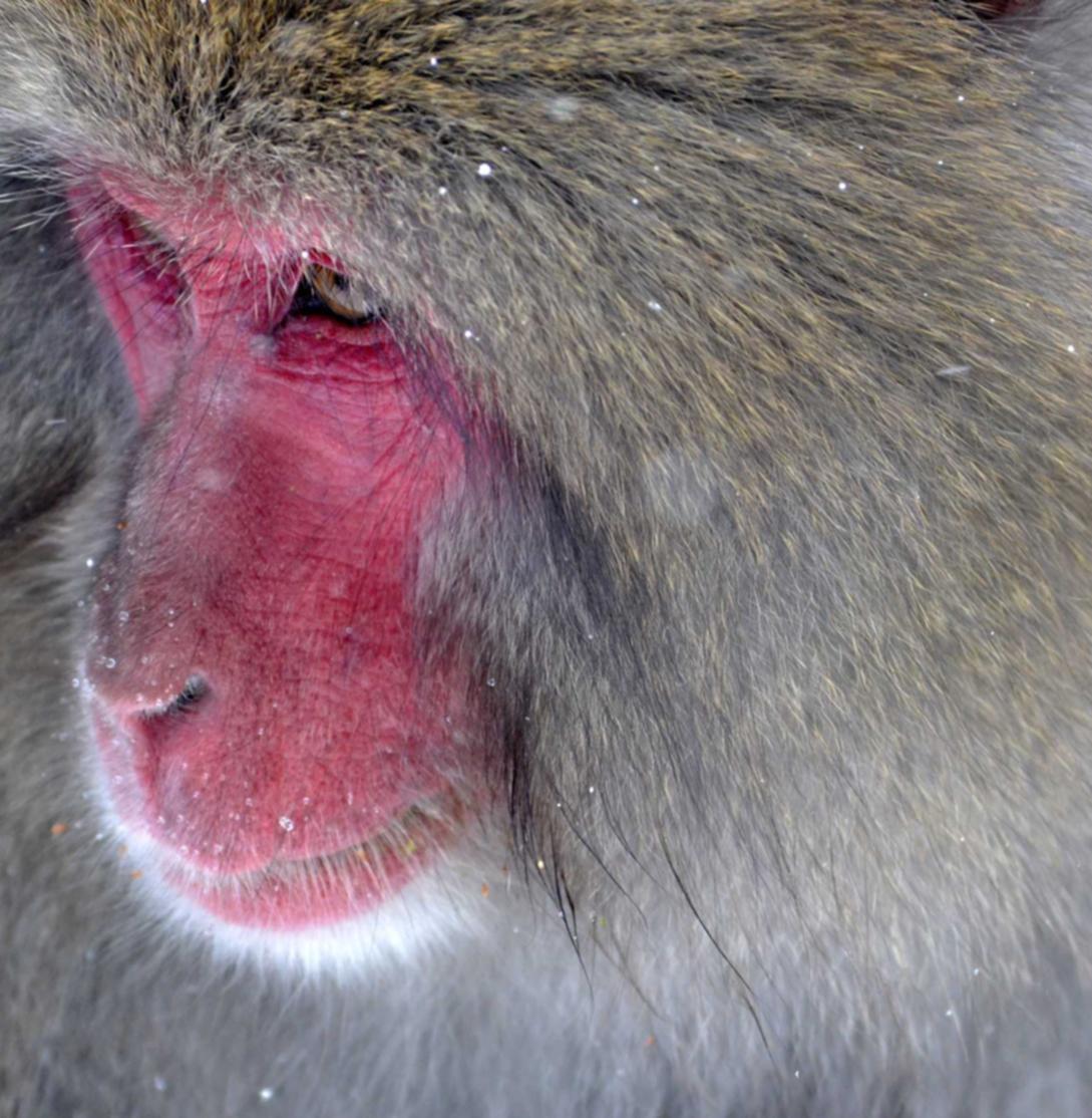 美团实名账号：拿钱宝app官方详情下载教程