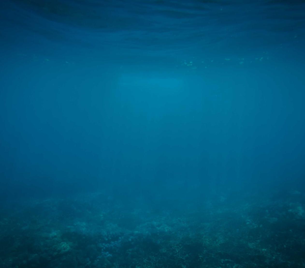 CC在线压力测试|庐阳区注册代理记账标准