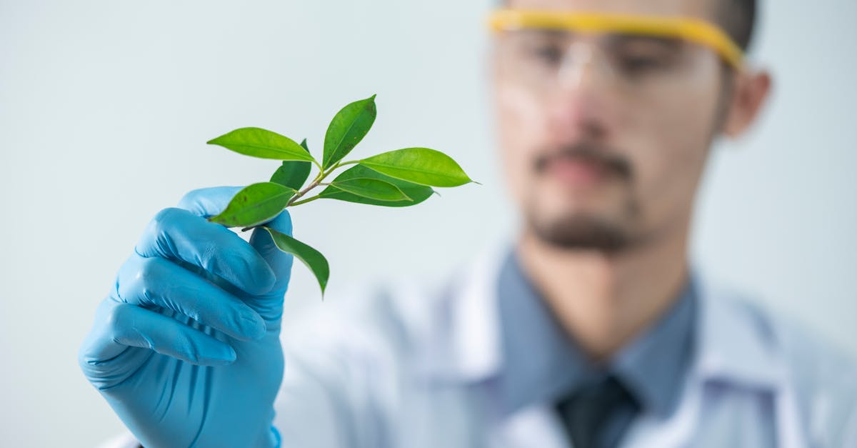 微信号批发市场：永宁代理公司注册多少钱