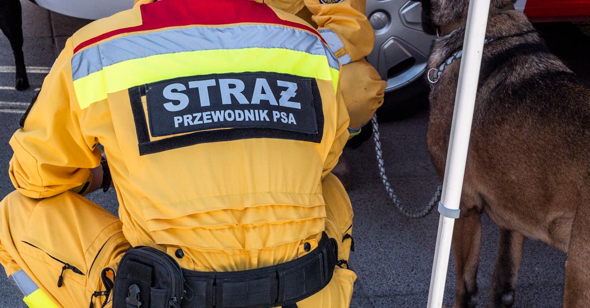 摩域团队竞技西青代理商标注册哪家好