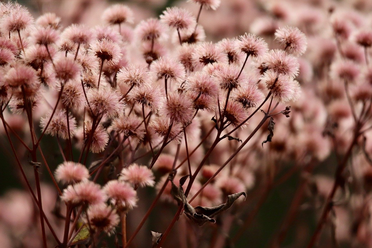 蜗牛移动实名账号：港务区代理记账注册公司